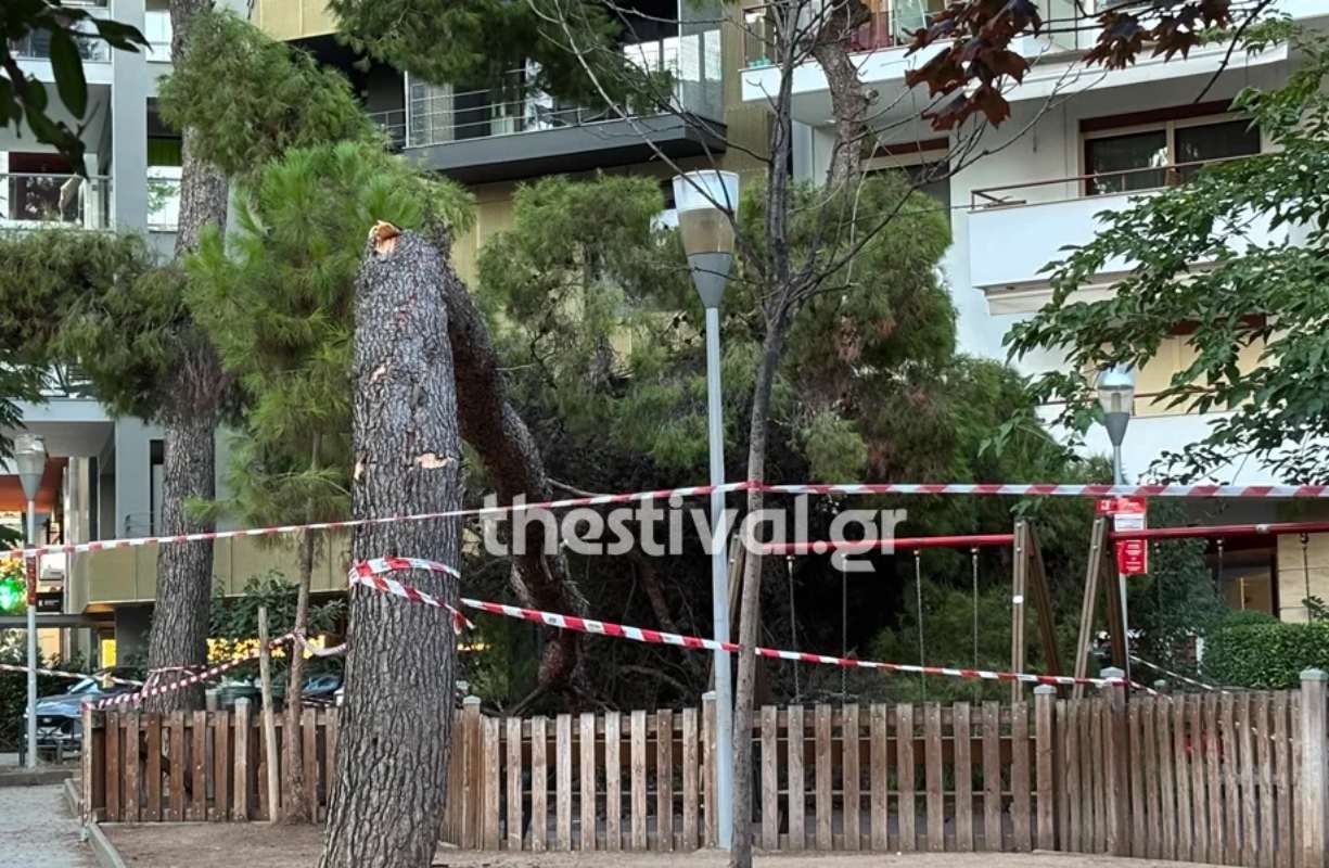 Θεσσαλονίκη: Δέντρο έπεσε σε μητέρα και τραυμάτισε το 17 μηνών παιδί της
