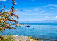 Thessaly-Evros Pass 2026: Μέχρι πότε οι αιτήσεις – Έως 250 ευρώ η ενίσχυση