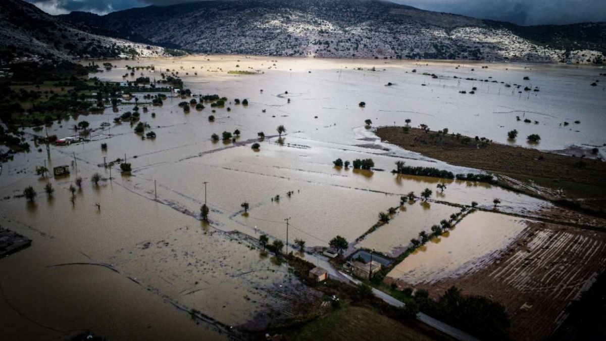 Λασίθι: «Πνίγηκαν» 45.000 τόνοι παραγωγής – Πρώτο χτύπημα στις τιμές της πατάτας