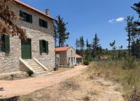 Μουσεία και κήποι, το διπλό «στοίχημα» για το πρώην βασιλικό Κτήμα στο Τατόι