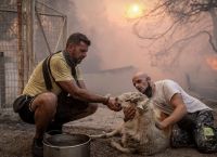 Θερμικές καταιγίδες σαρώνουν τη Γη – 367 ημέρες ακραίας ζέστης
