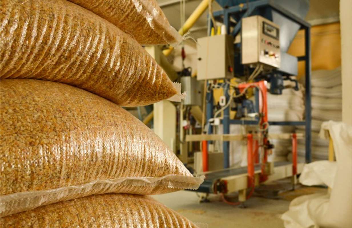 Καλαμπόκι: Συναγερμός στις ζωοτροφές – Η αργή συγκομιδή φέρνει νέο κύμα κόστους